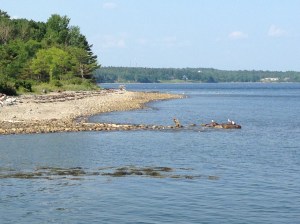 Yup, that's the view!